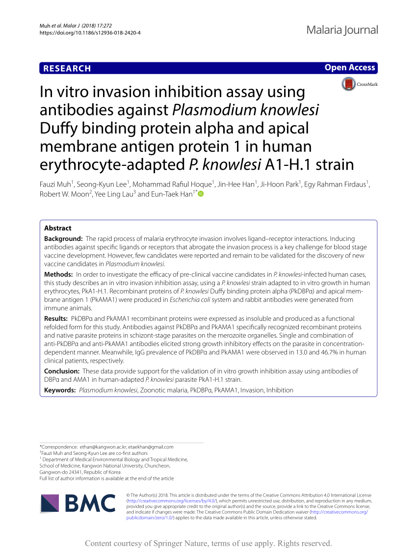In vitro invasion inhibition assay using antibodies Plasmodium knowlesi Duffy binding alpha and apical membrane antigen protein 1 in human erythrocyte-adapted knowlesi A1-H.1 strain