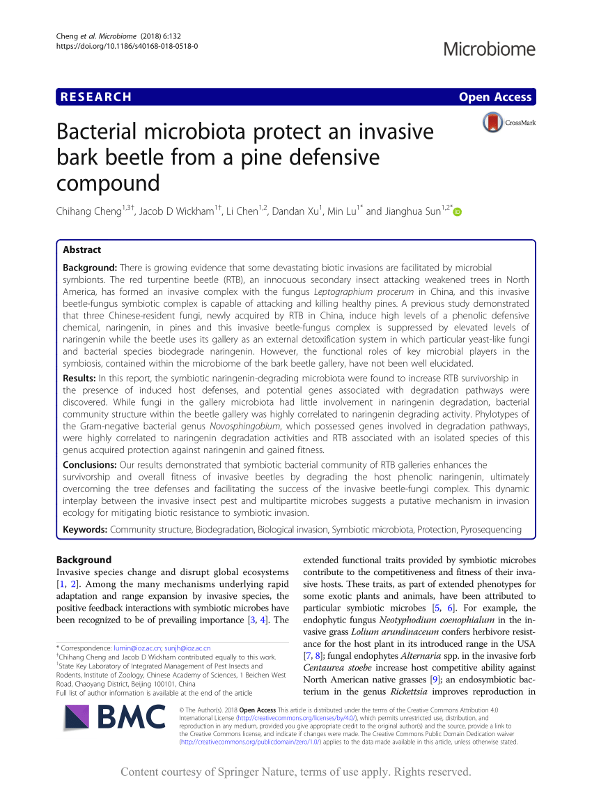 https://i1.rgstatic.net/publication/326663930_Bacterial_microbiota_protect_an_invasive_bark_beetle_from_a_pine_defensive_compound/links/5fc471eca6fdcc6cc68426cb/largepreview.png