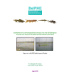 Preview image for Establishment of a community based fish sanctuary in the river Old Brahmaputra and study of its impact on fish biodiversity and livelihood of the fishers