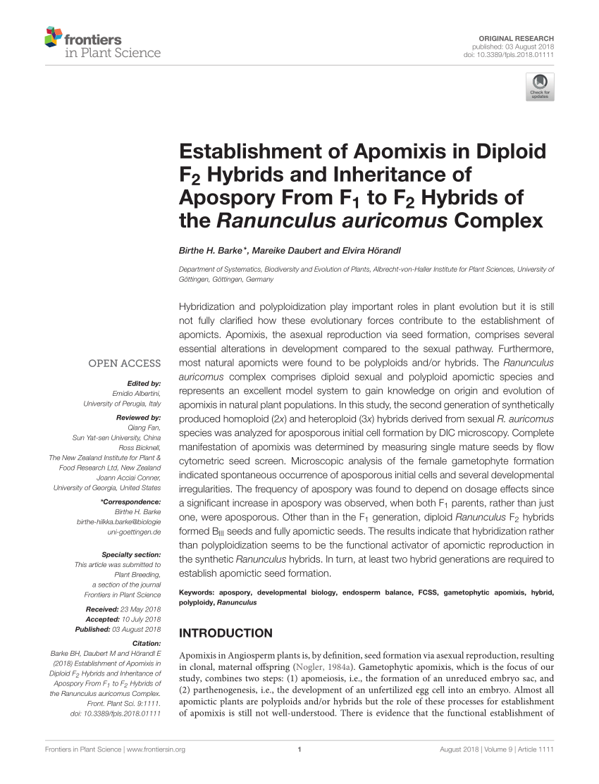 PDF) Establishment of Apomixis in Diploid F2 Hybrids and ...