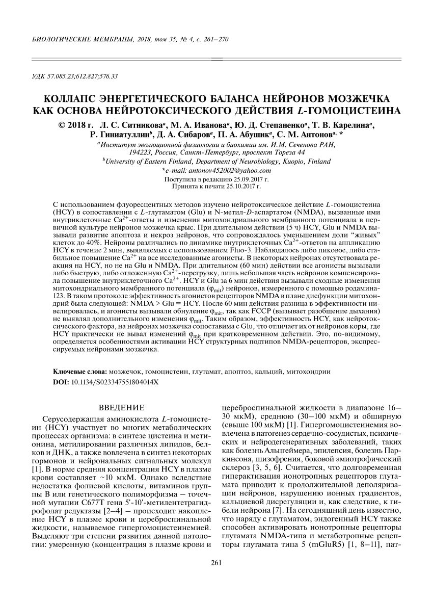 PDF) Коллапс энергетического баланса нейронов мозжечка как основа  нейротоксического действия L-гомоцистеина