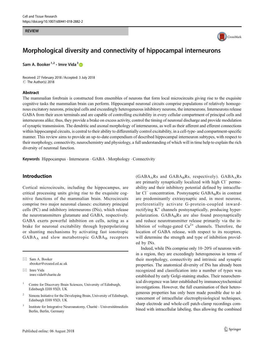 PDF) Morphological diversity and connectivity of hippocampal interneurons