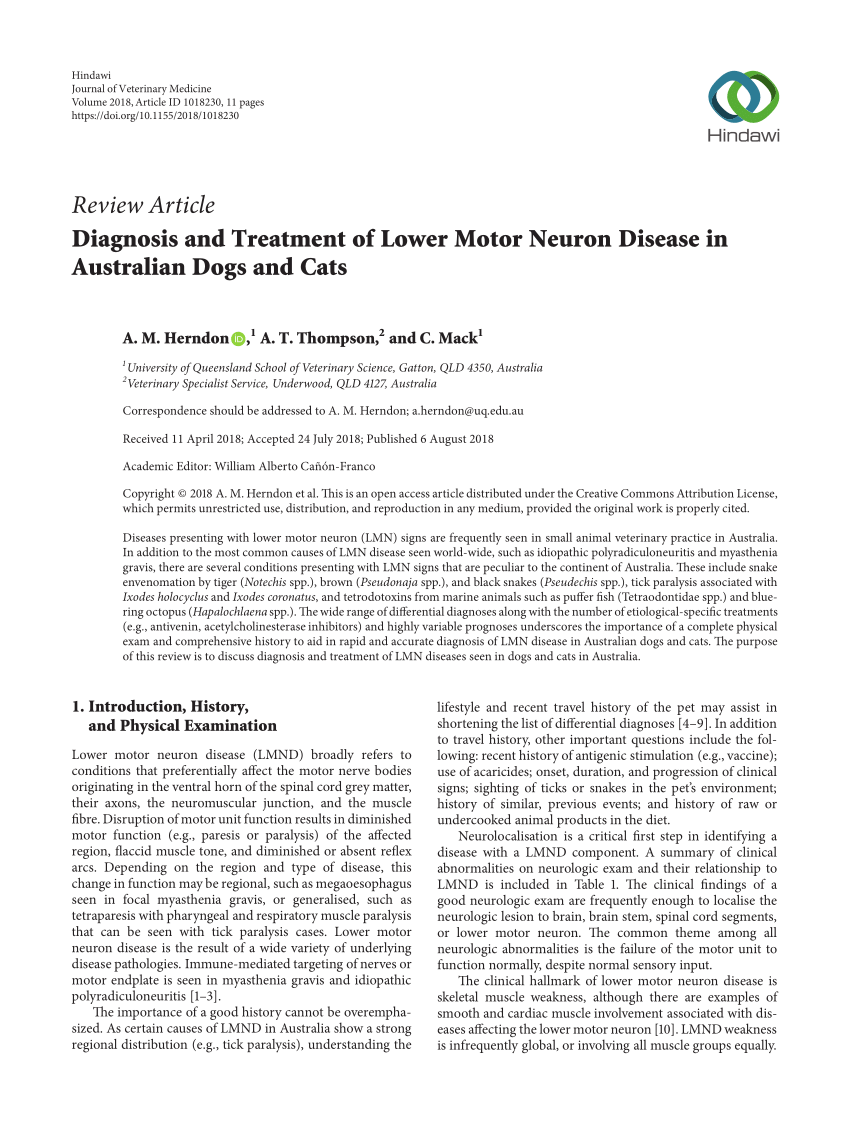  PDF Diagnosis and Treatment of Lower Motor  Neuron  
