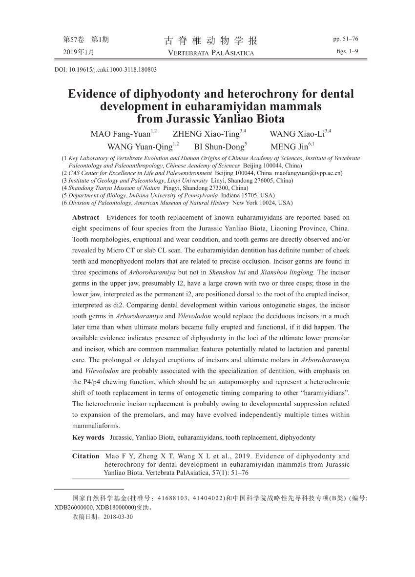PDF) Evidence of diphyodonty and heterochrony for dental 