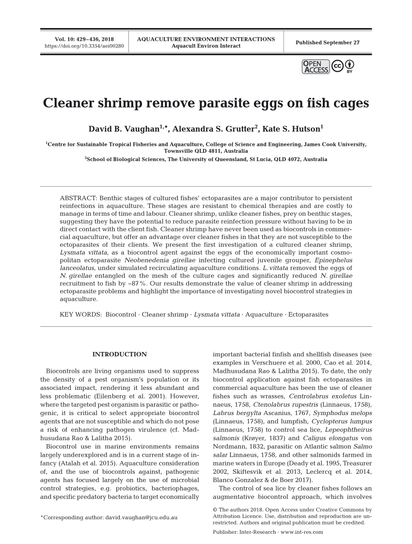 PDF) Cleaner shrimp remove parasite eggs on fish cages