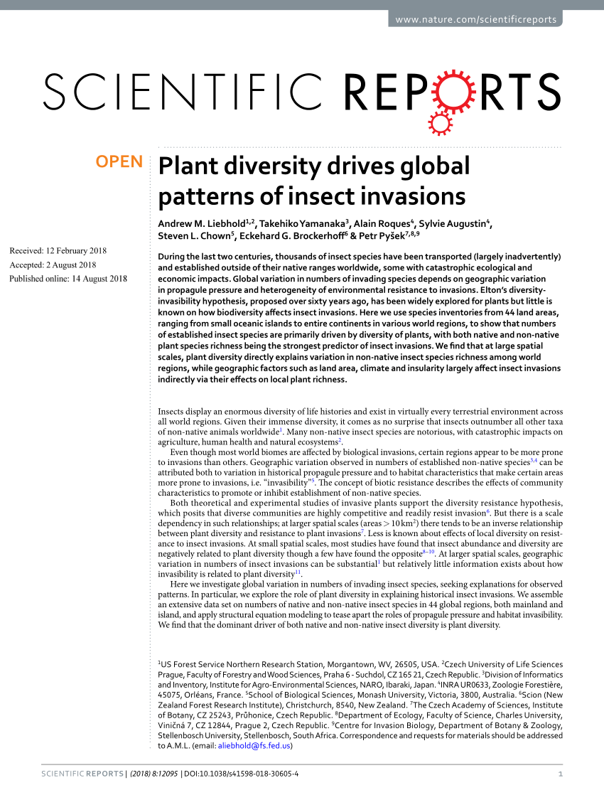 insect diversity research paper