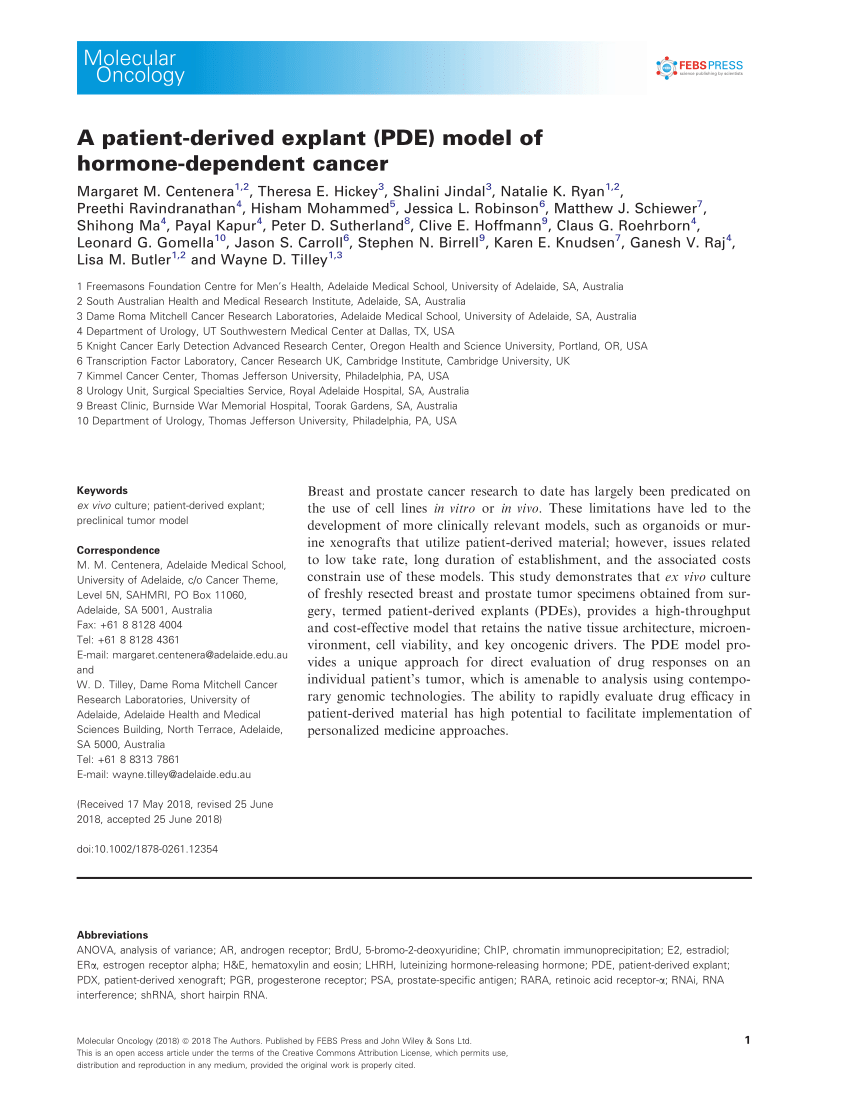 Pdf A Patient Derived Explant Pde Model Of Hormone Dependent Cancer