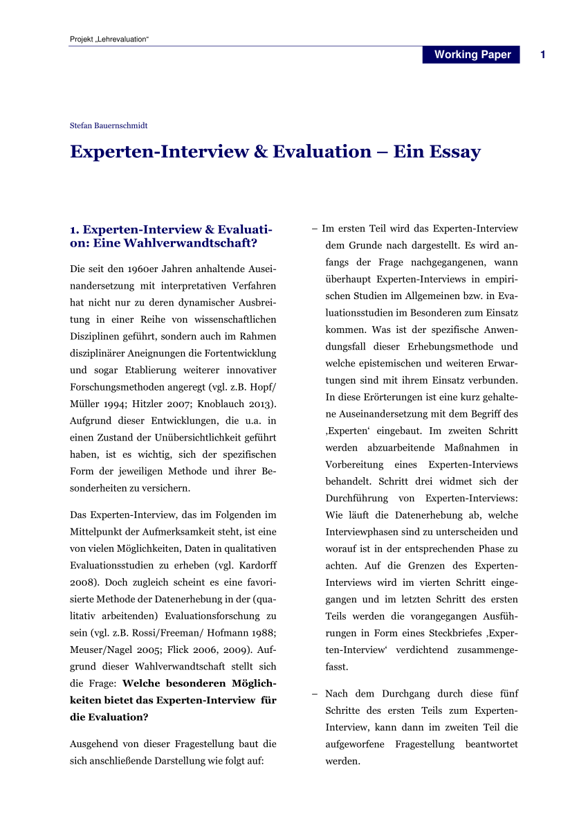 (PDF) Experten-Interview & Evaluation. Ein Essay