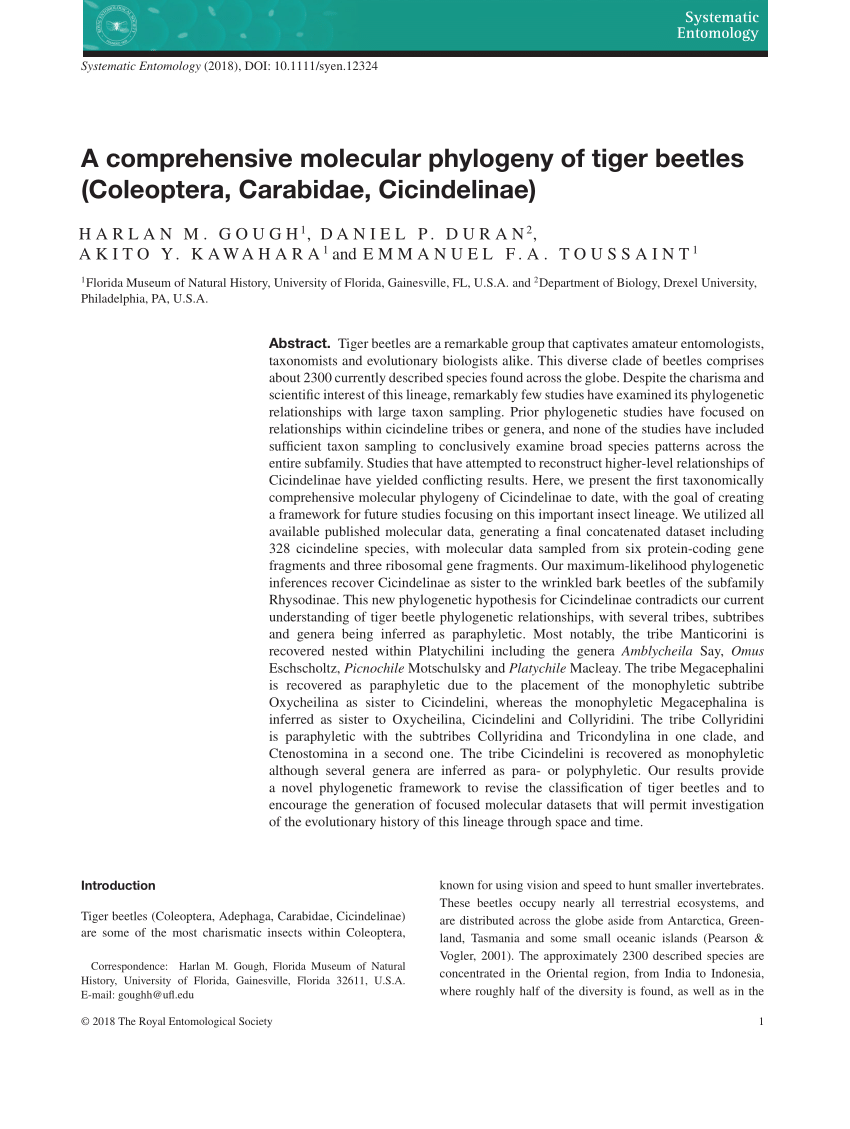 Pdf A Comprehensive Molecular Phylogeny Of Tiger Beetles Coleoptera Carabidae Cicindelinae