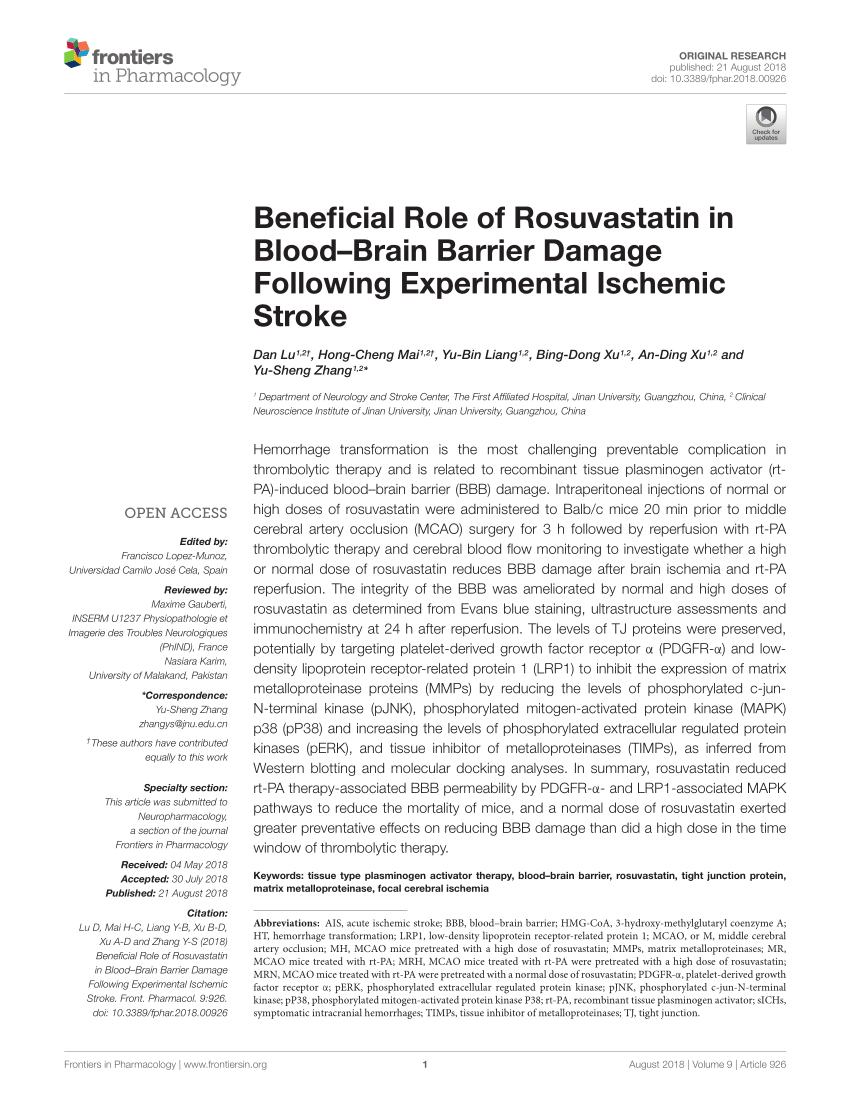 (PDF) Beneficial Role of Rosuvastatin in Blood-Brain 