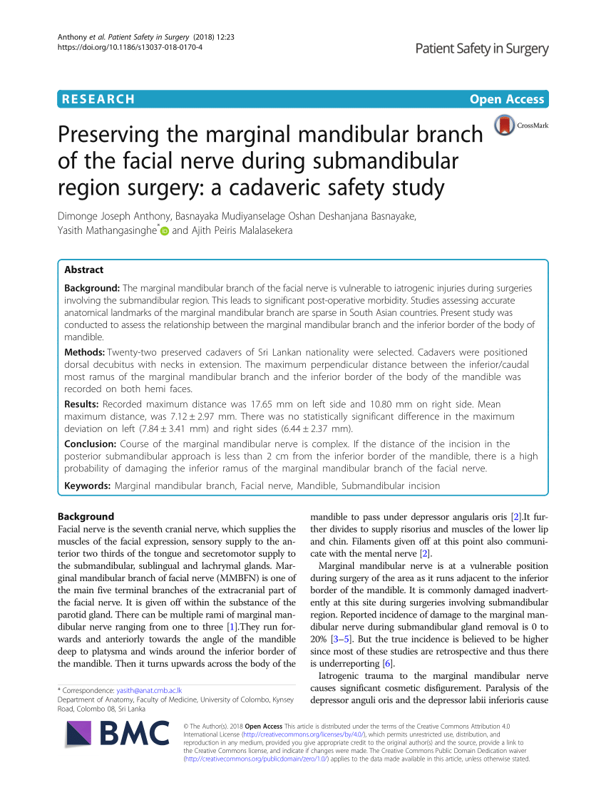 Preserving the marginal mandibular branch of the facial nerve during  submandibular region surgery: a cadaveric safety study, Patient Safety in  Surgery