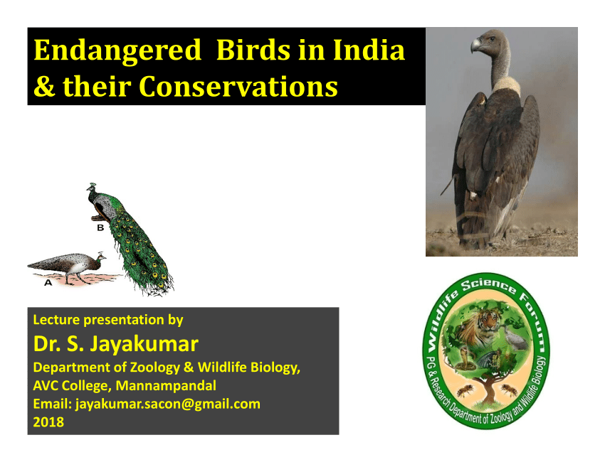 PDF) Endangered birds in India