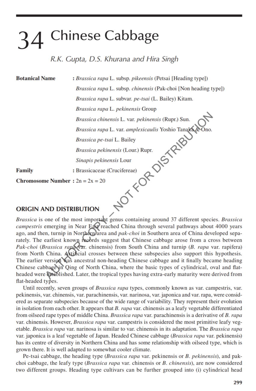 literature review on chinese cabbage