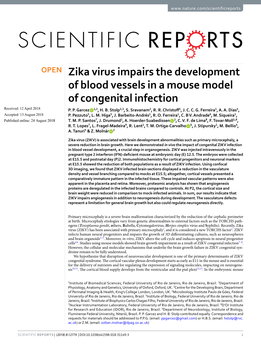 Pdf Zika Virus Impairs The Development Of Blood Vessels In A Mouse Model Of Congenital Infection