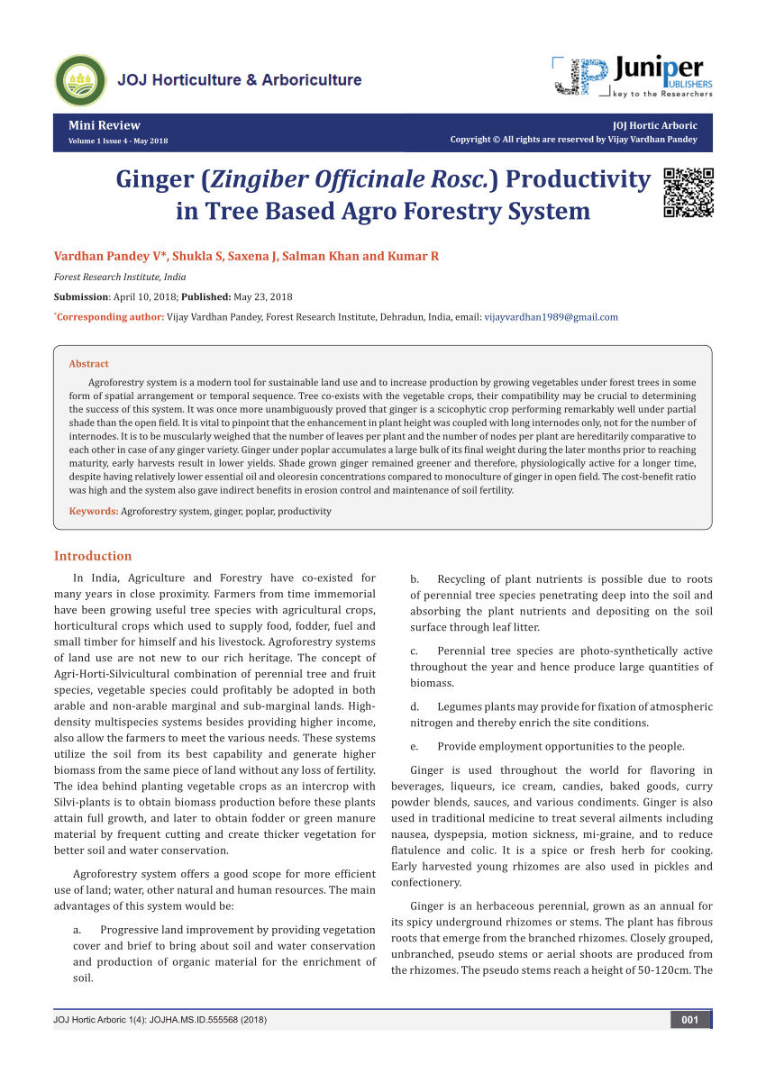 research paper on ginger pdf