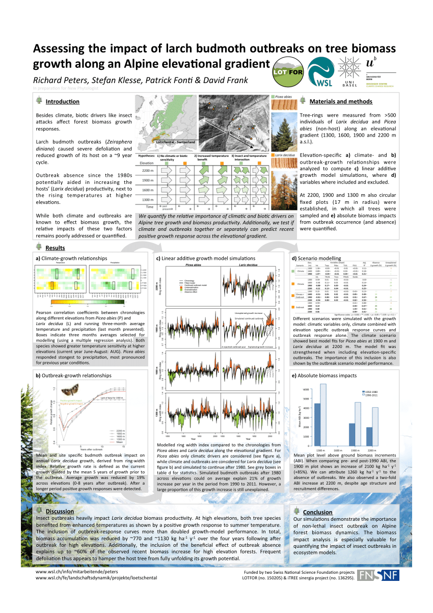 (PDF) Assessing the impact of larch budmoth outbreaks on tree biomass ...