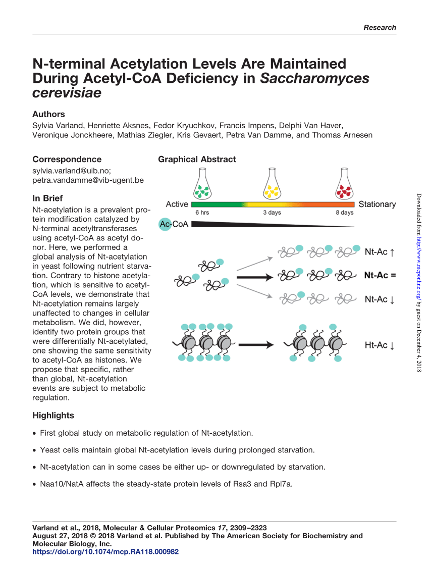 PDF) N-terminal acetylation shields proteins from degradation and promotes  age-dependent motility and longevity