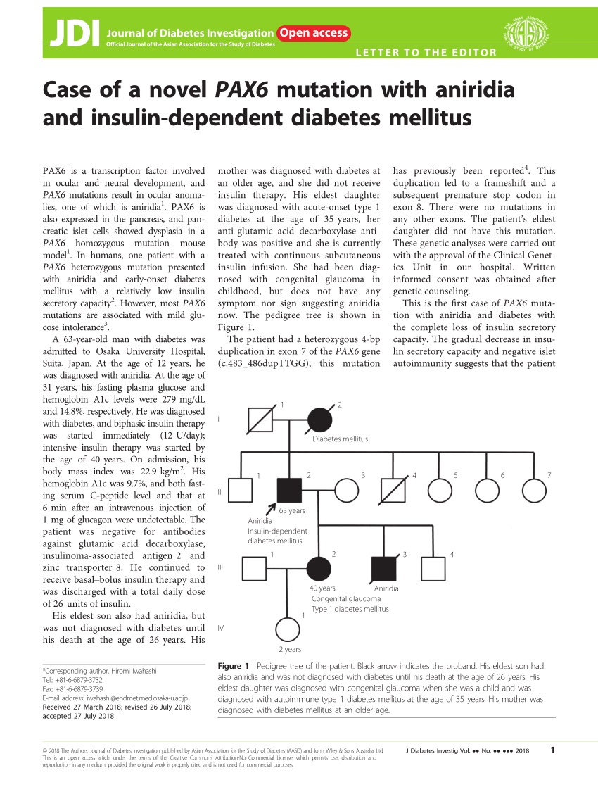 insulin dependent diabetes mellitus investigations)