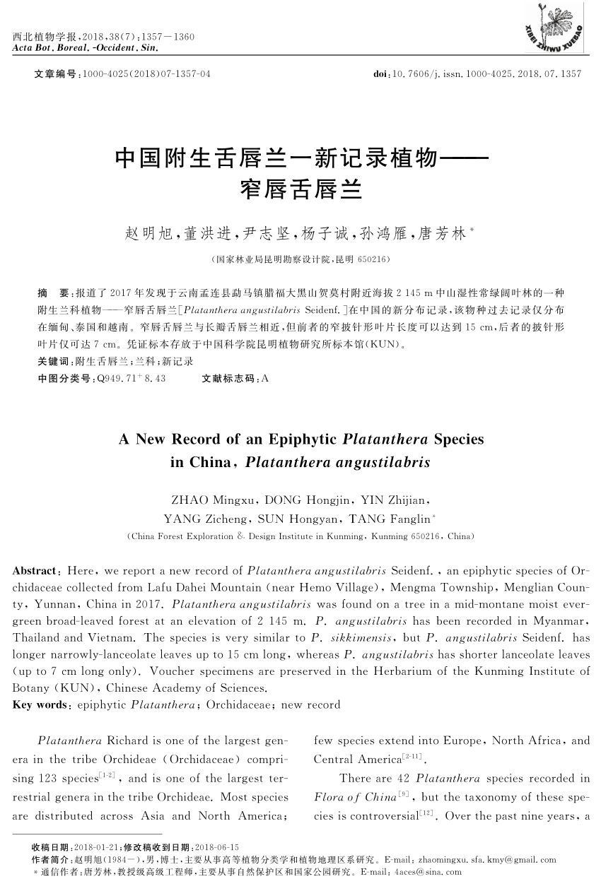 Pdf A New Record Of An Epiphytic Platanthera Species In China Platanthera Angustilabris