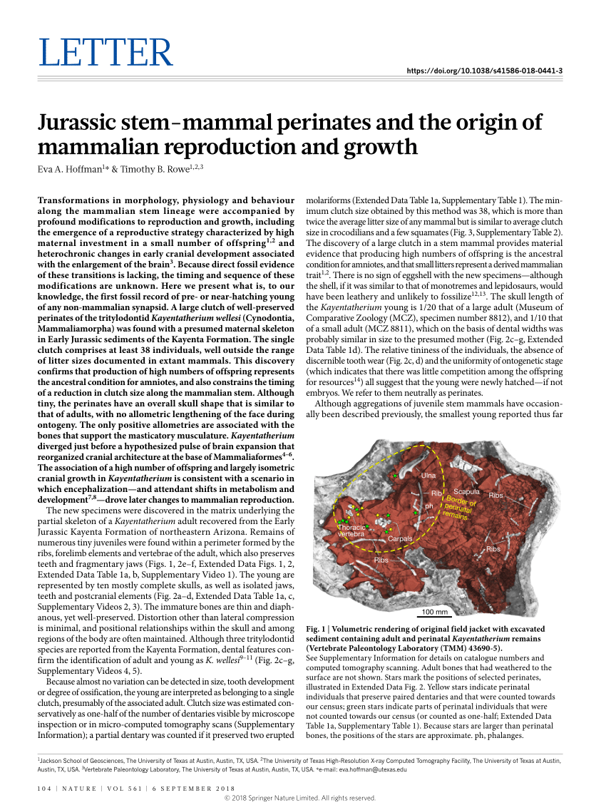 Jurassic stem-mammal perinates and the origin of mammalian reproduction