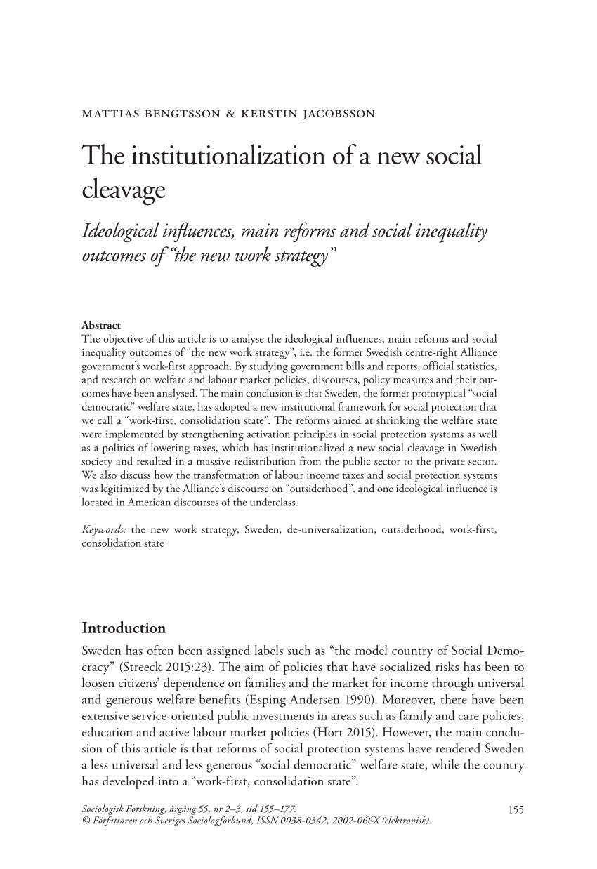 Pdf The Institutionalization Of A New Social Cleavage