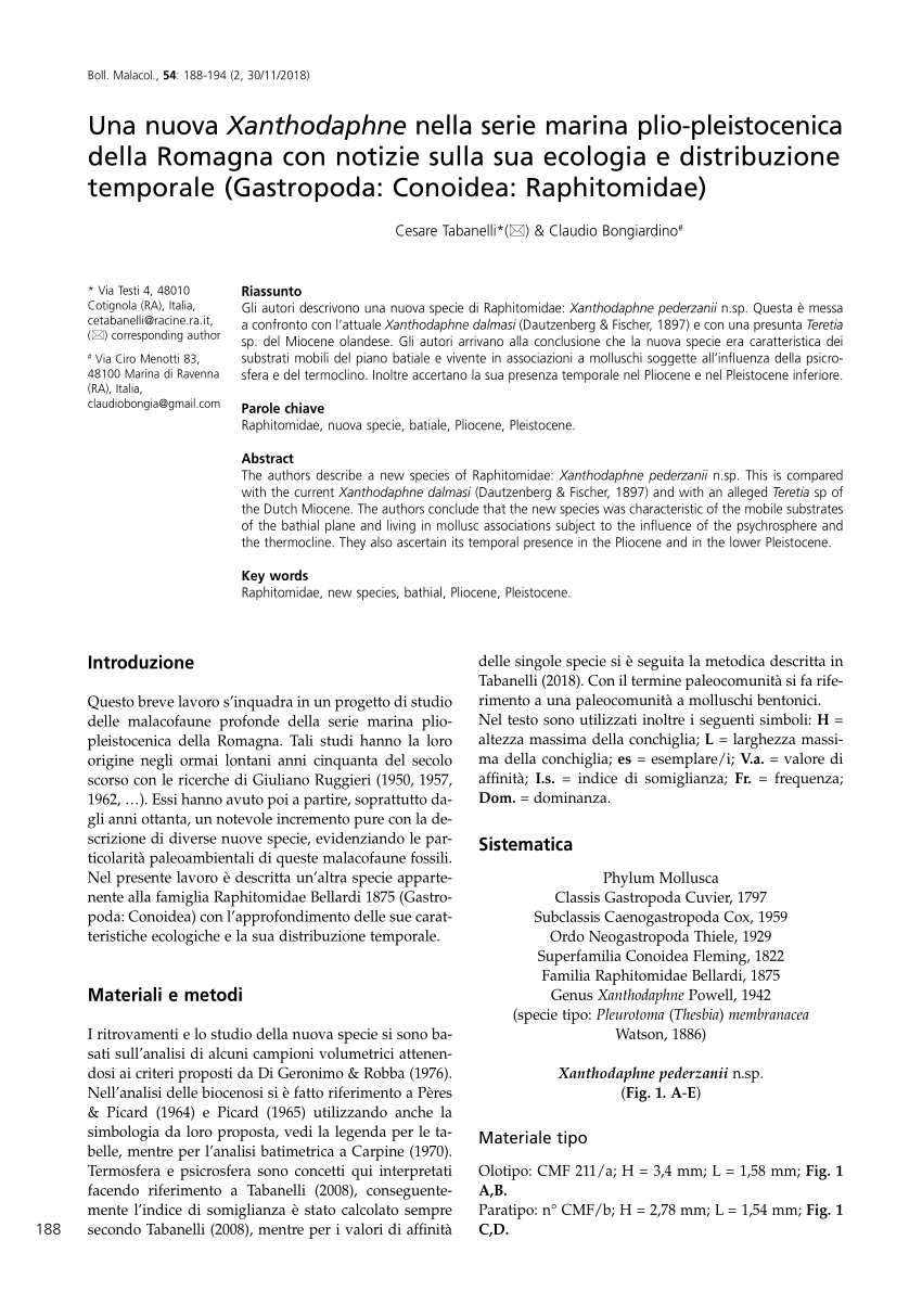 A D Xanthodaphne Pederzanii N Sp A B Olotipo Monte S Rinaldo Download Scientific Diagram