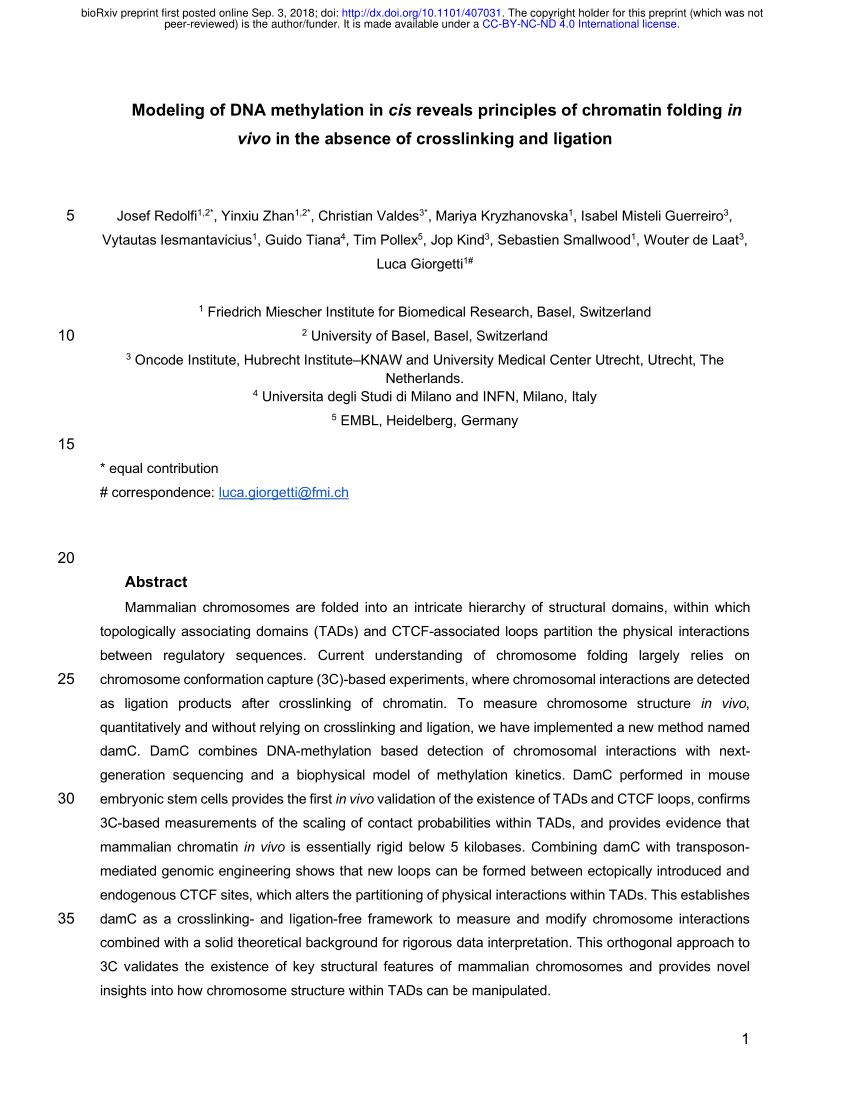 CIS-CPG New Soft Simulations