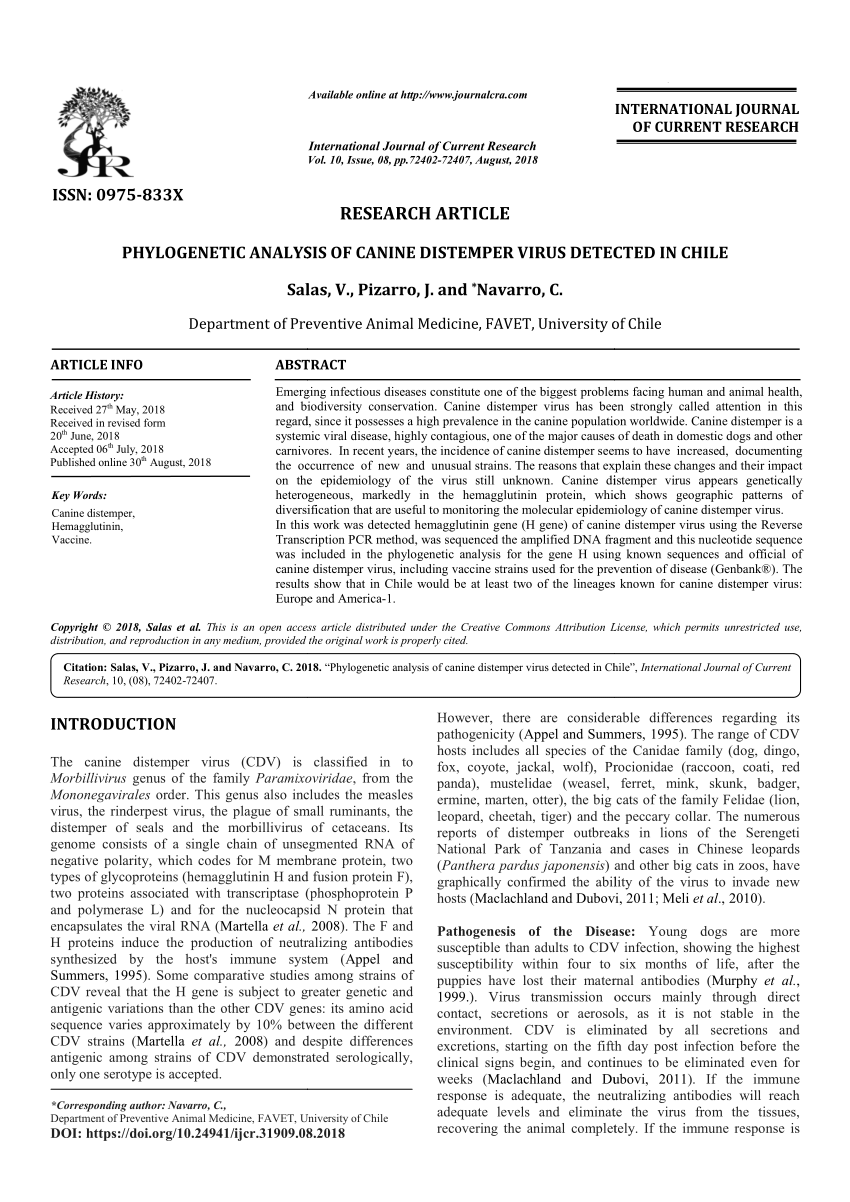 EEE Virus PDF  PDF  PHYLOGENETIC ANALYSIS OF CANINE DISTEMPER VIRUS  