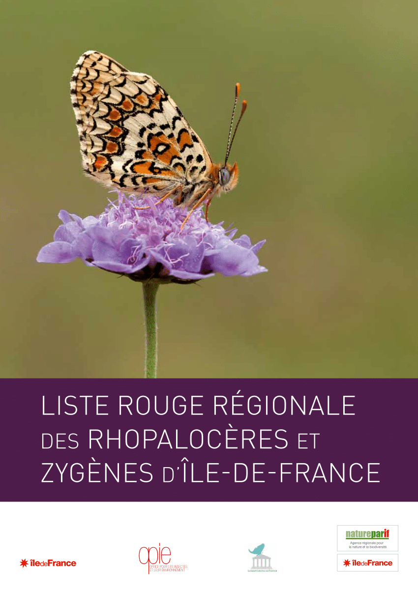 Clé d'identification des Zygènes de Bourgogne-Franche-Comté