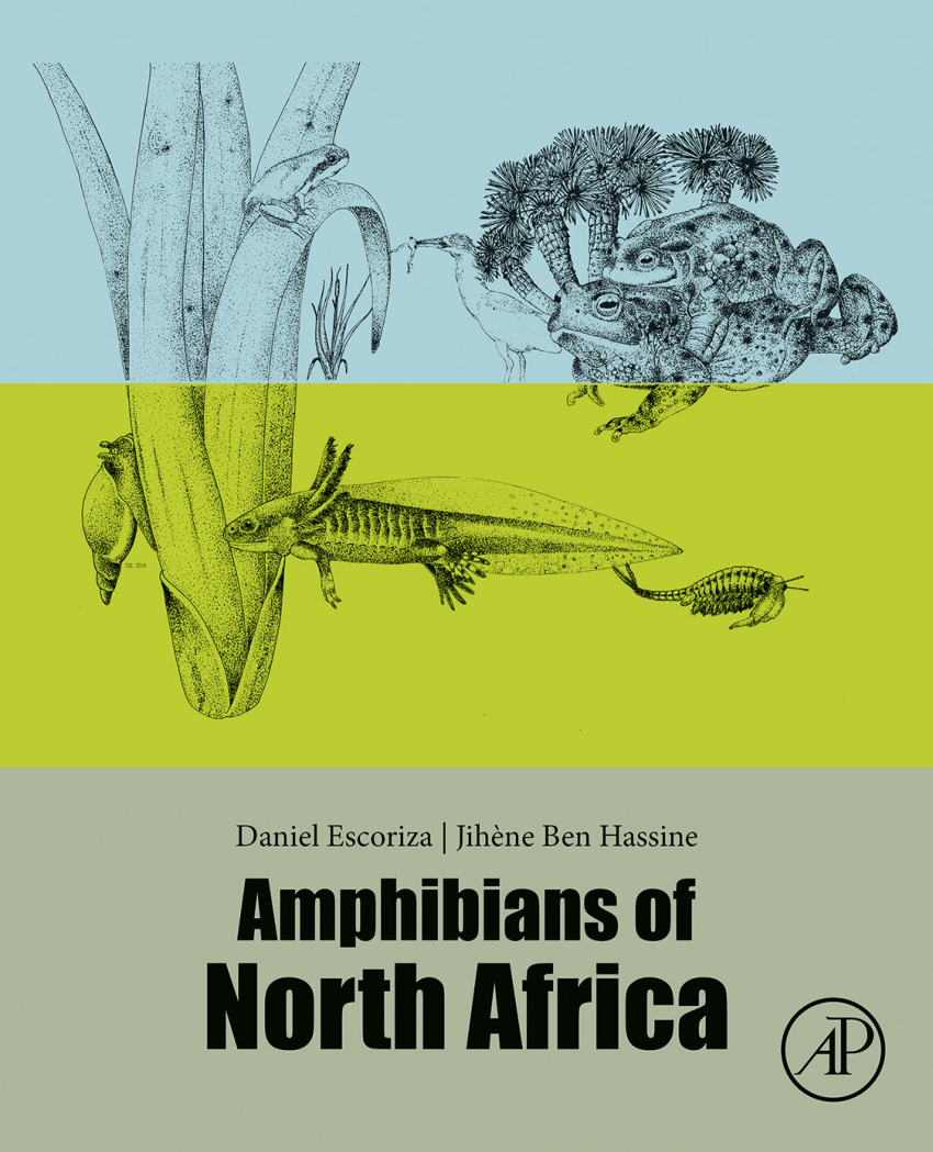 (PDF) Amphibians of North Africa