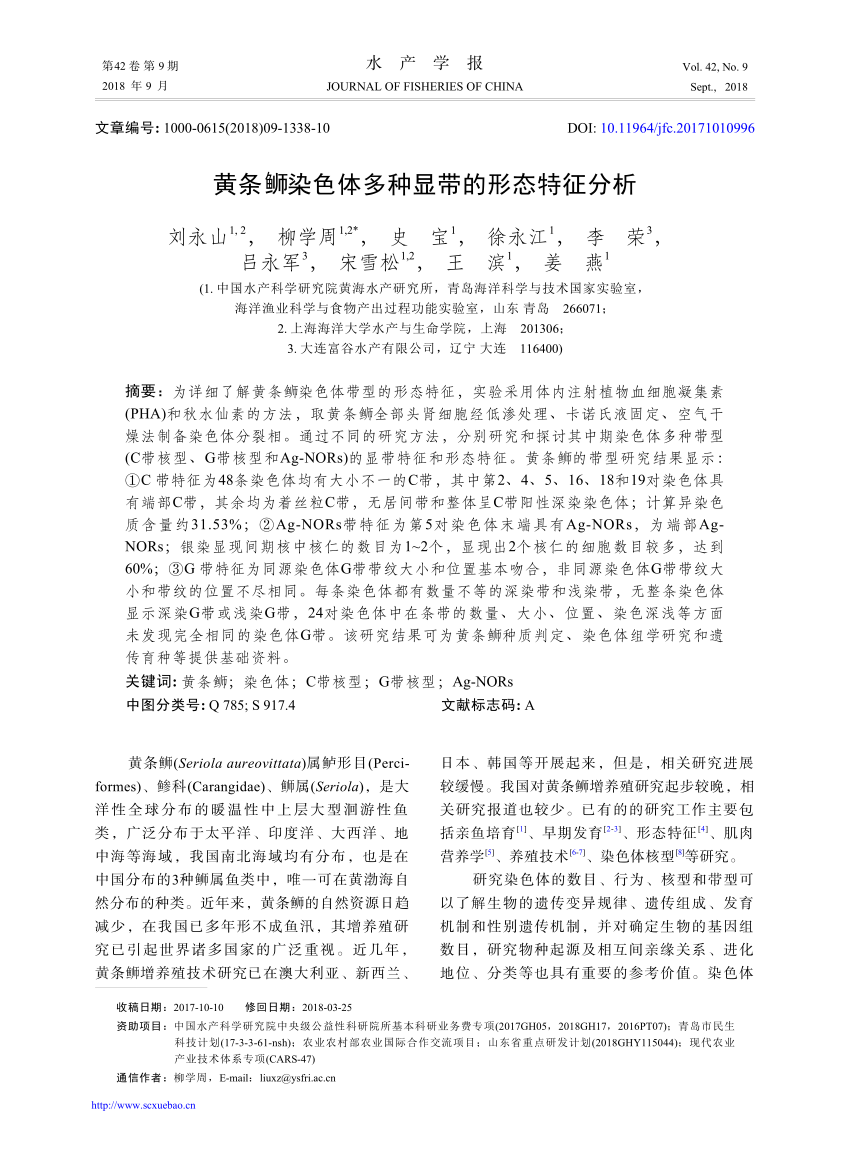 (PDF) Analysis of the banding patterns of Seriola aureovittata