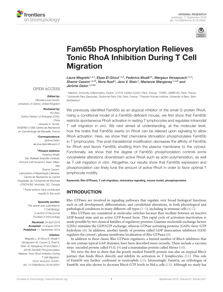 PDF) Fam65b Phosphorylation Relieves Tonic RhoA Inhibition During ...