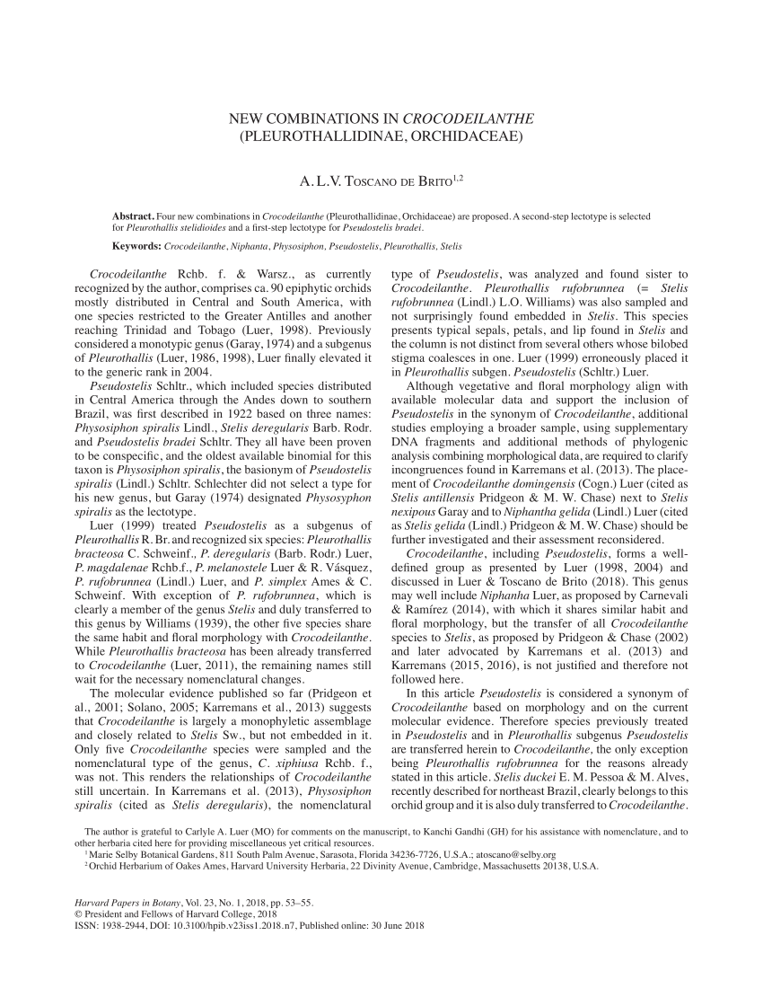 PDF) NEW SPECIES AND NOMENCLATURAL NOTES IN THE PLEUROTHALLIDINAE