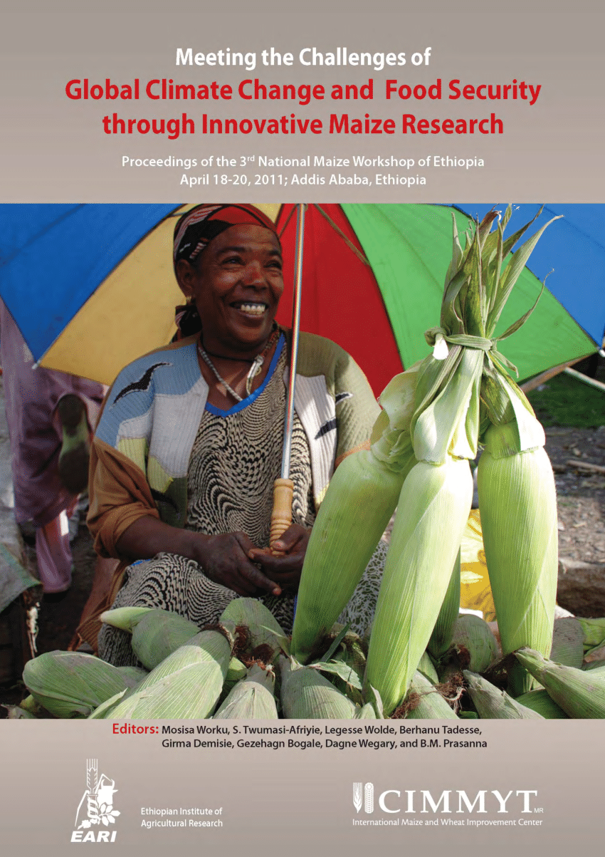 (PDF) Status and future direction of maize research and production in