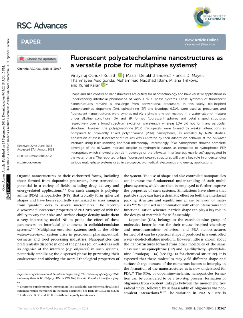 Pdf Fluorescent Polycatecholamine Nanostructures As A Versatile Probe For Multiphase Systems