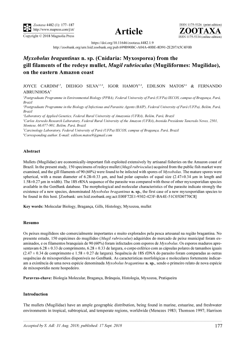 PDF) Myxobolus bragantinus n. sp. (Cnidaria: Myxosporea) from the ...