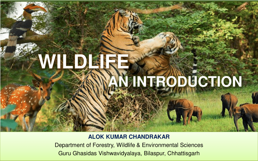 PDF) Wildlife: An Introduction