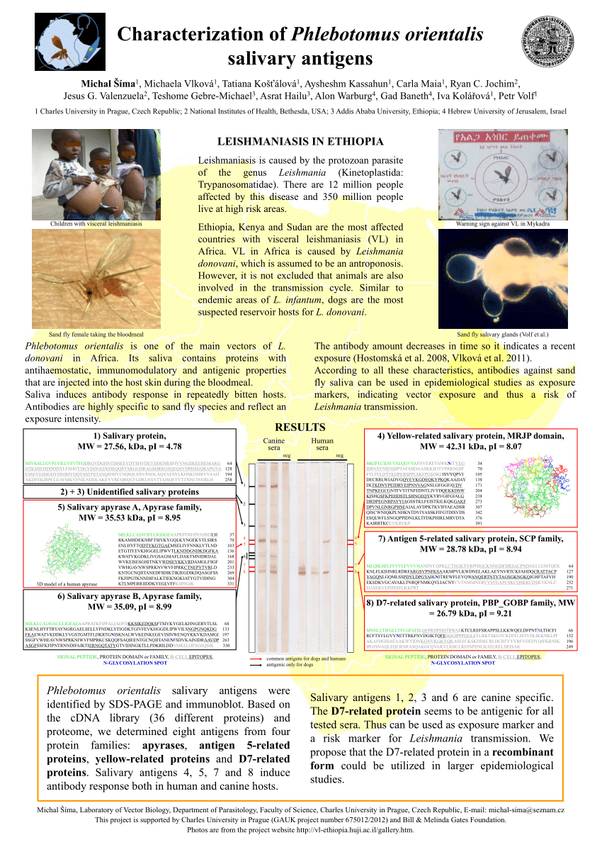 Pdf Characterization Of Phlebotomus Orientalis Salivary Antigens