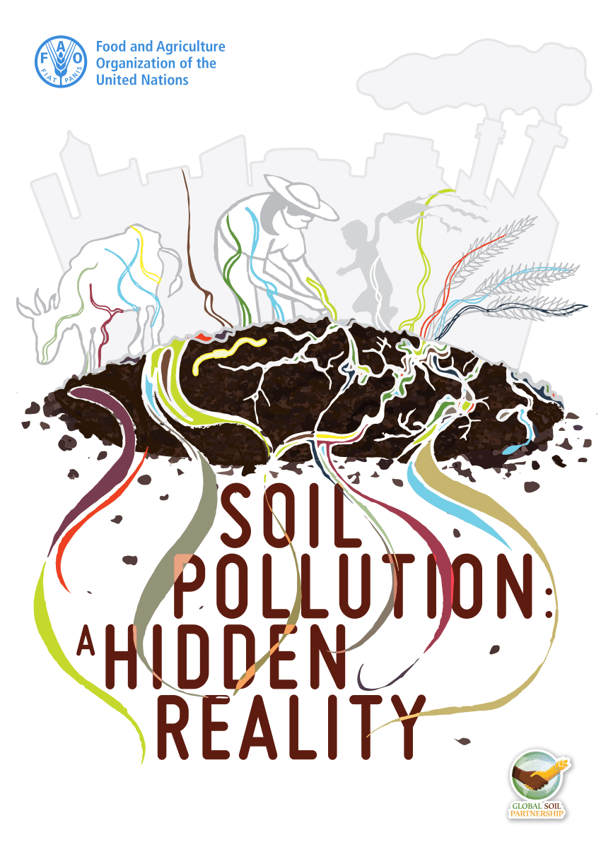 PDF) Soil pollution: a hidden reality