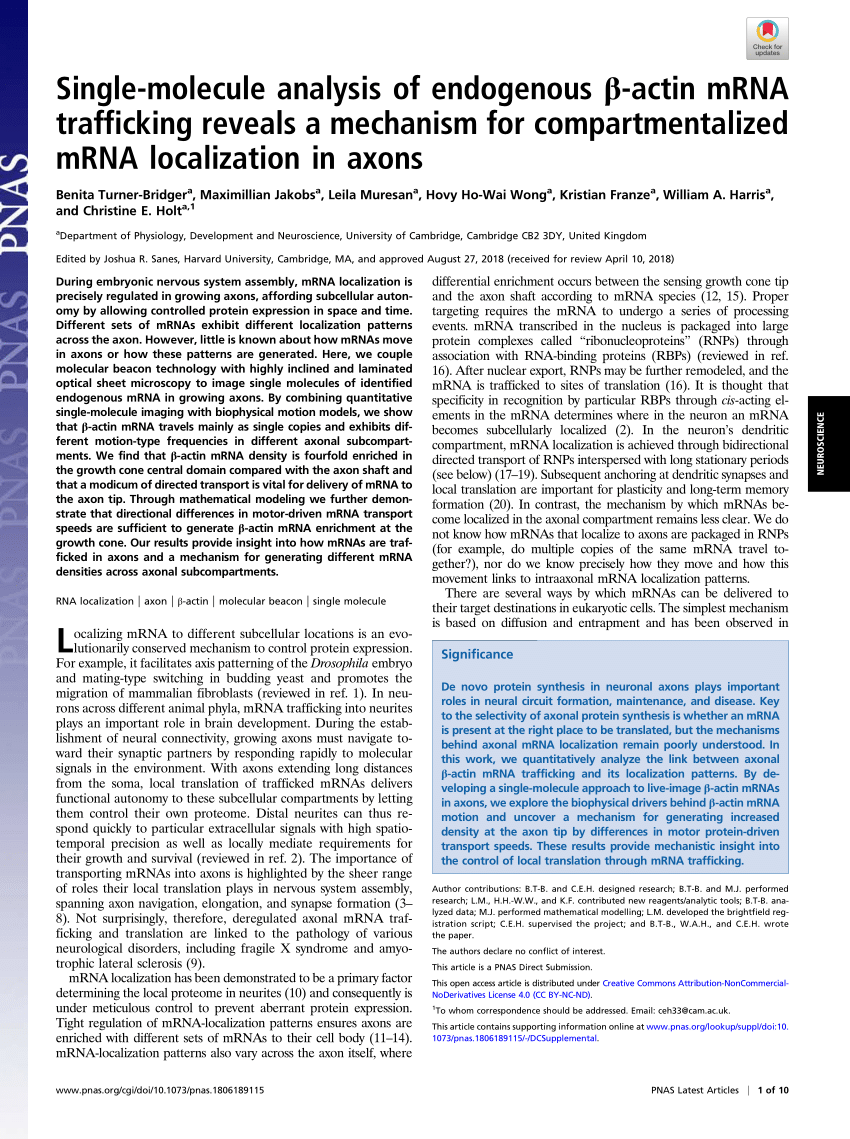 PDF) Single-molecule analysis of endogenous  -actin mRNA ...