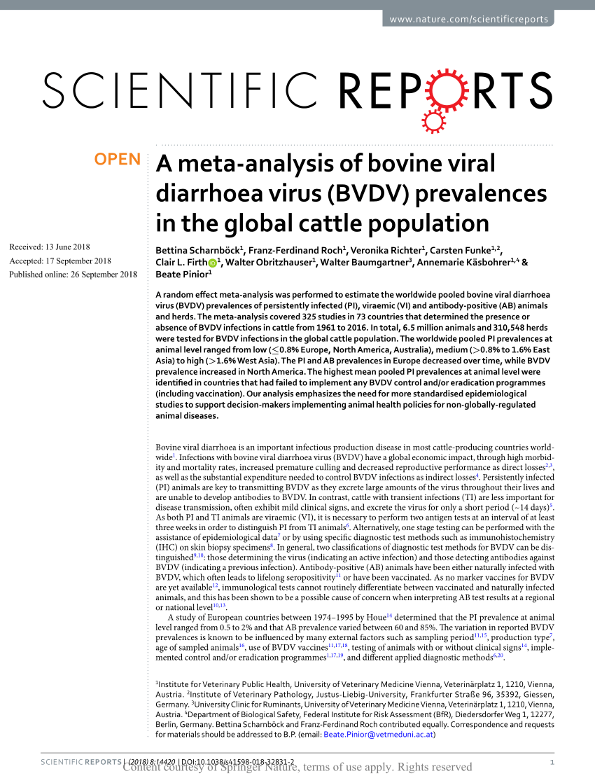 Pdf A Meta Analysis Of Bovine Viral Diarrhoea Virus Bvdv Prevalences In The Global Cattle Population