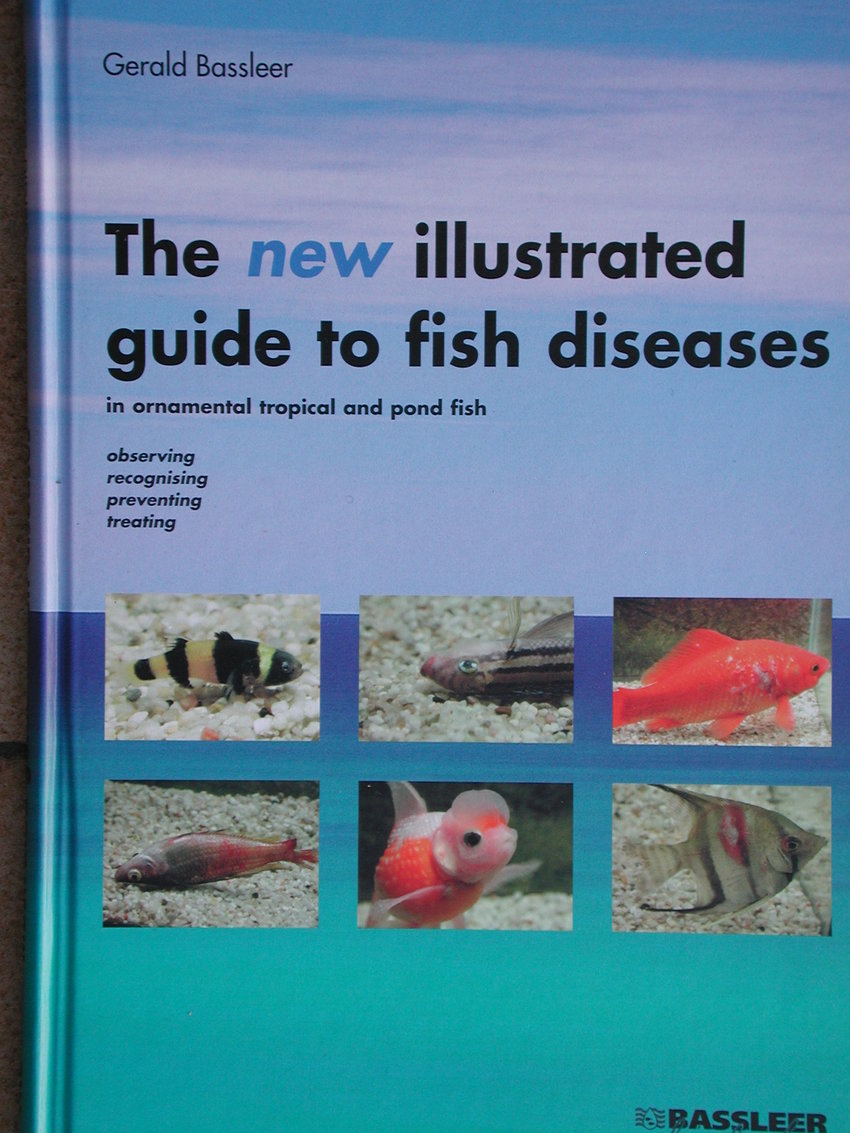 (PDF) New illustrated guide to fish diseases - Largepreview