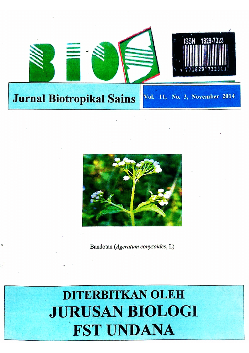 (PDF) Sebaran Medan Massa, Medan Tekanan, dan Arus ...