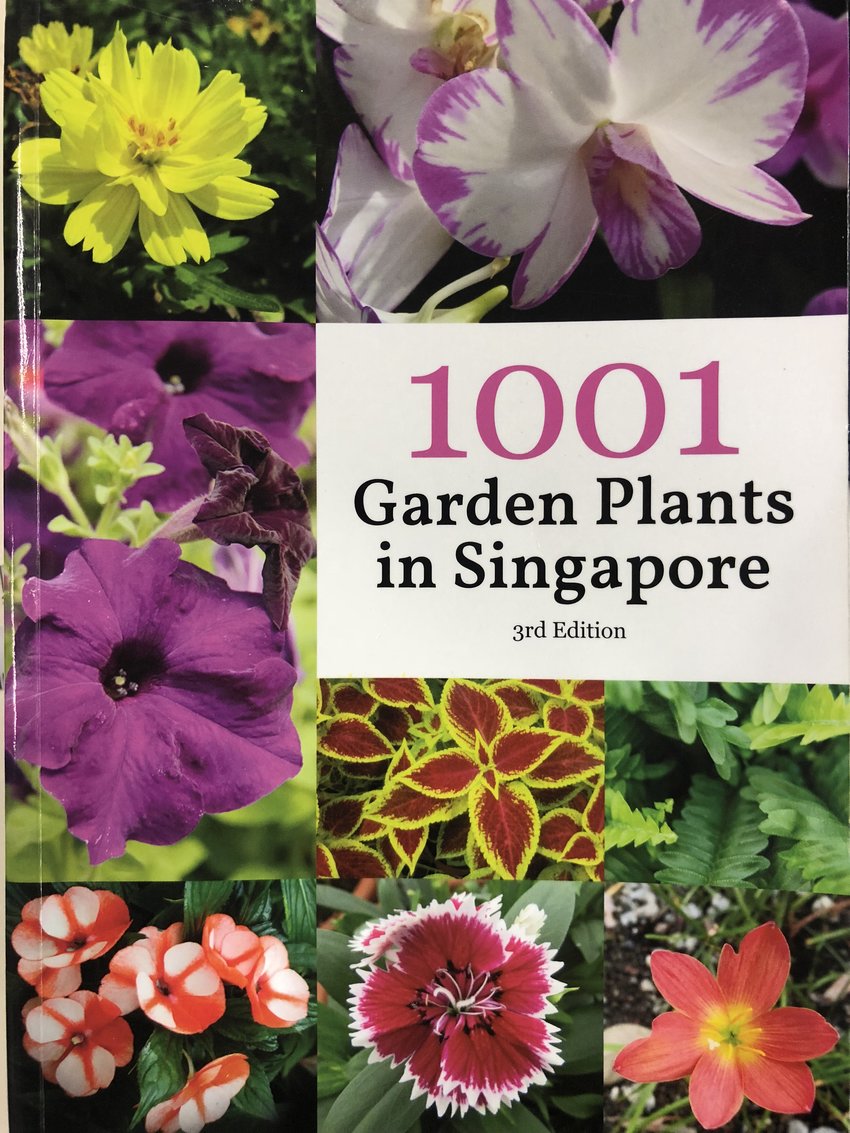 1001 garden plants in singapore 3rd edition