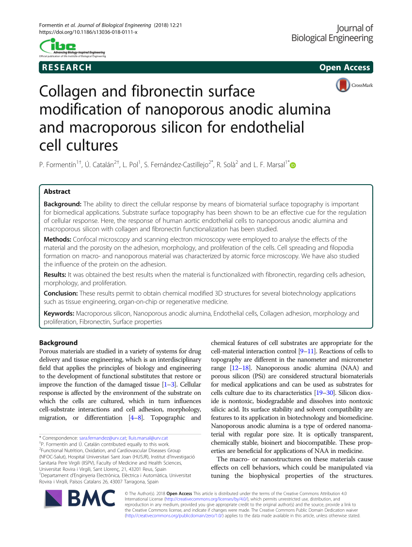 Pdf Collagen And Fibronectin Surface Modification Of Nanoporous Anodic Alumina And Macroporous Silicon For Endothelial Cell Cultures