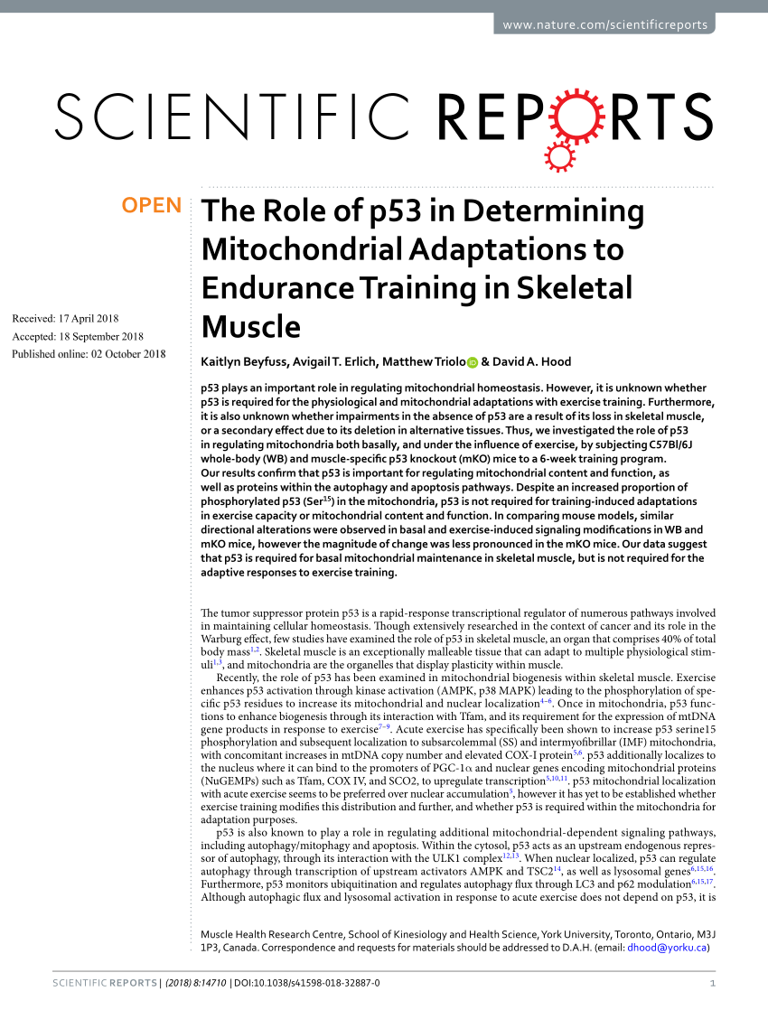 The Mitochondrial P53 Pathway Request Pdf - 