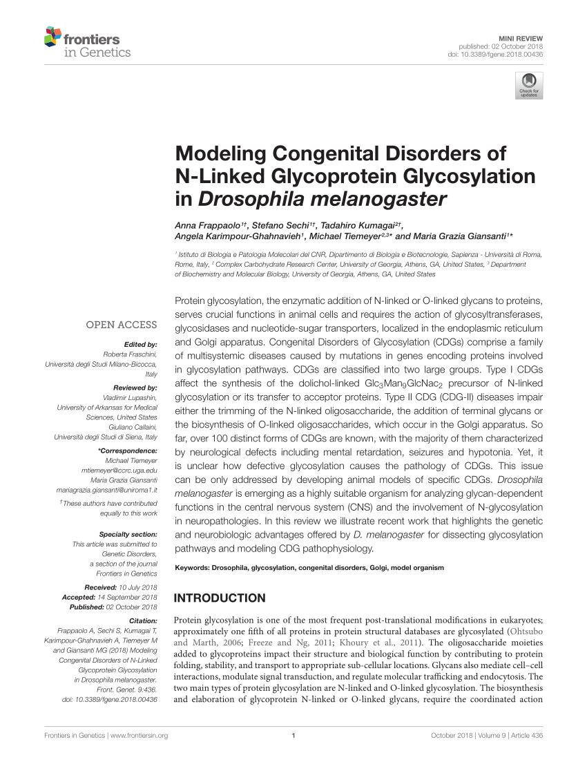 Modeling Congenital Disorders of N-Linked Glycoprotein