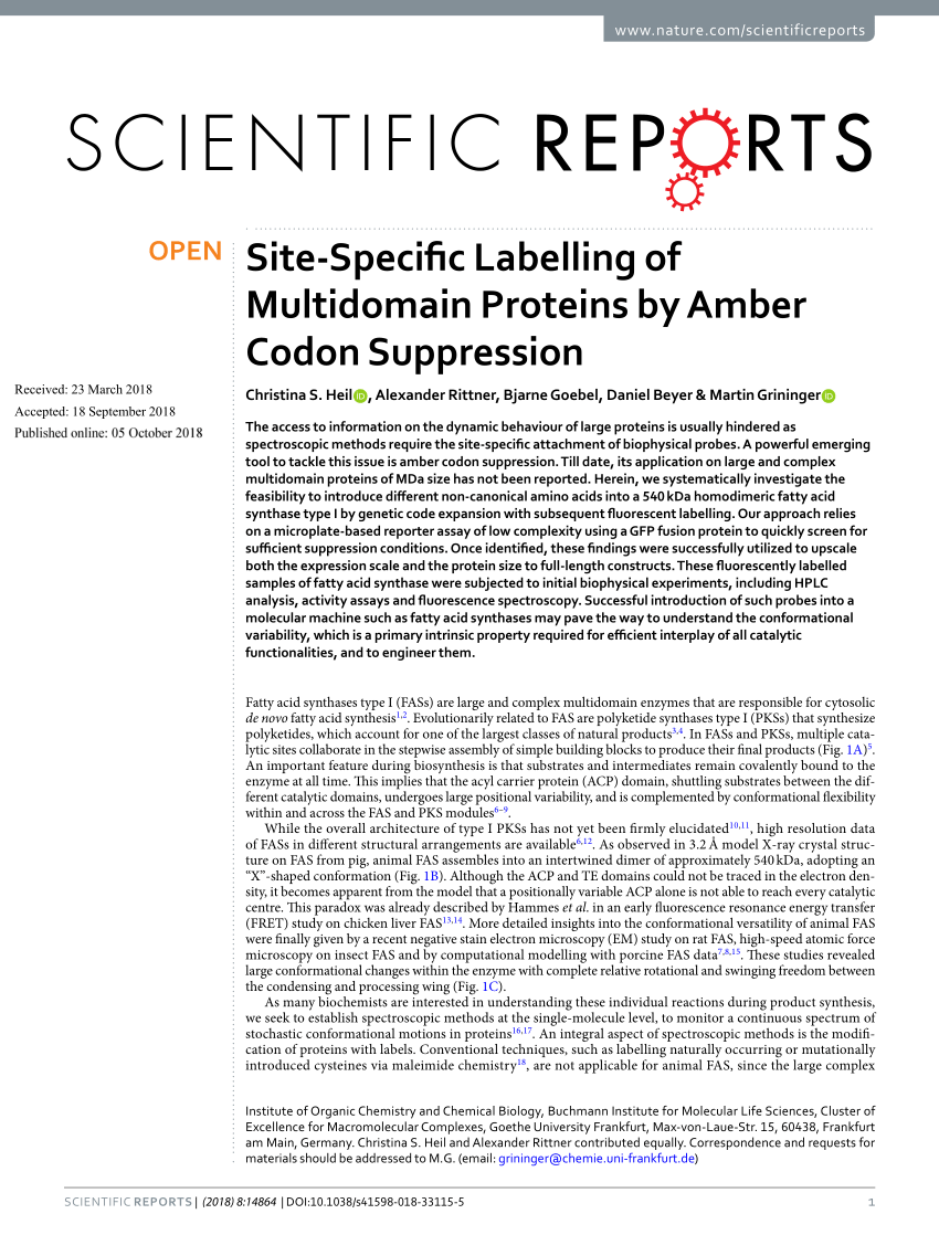 PDF Site Specific Labelling of Multidomain Proteins by Amber