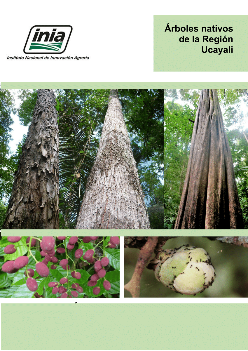 PDF) Arboles nativos de la Región Ucayali