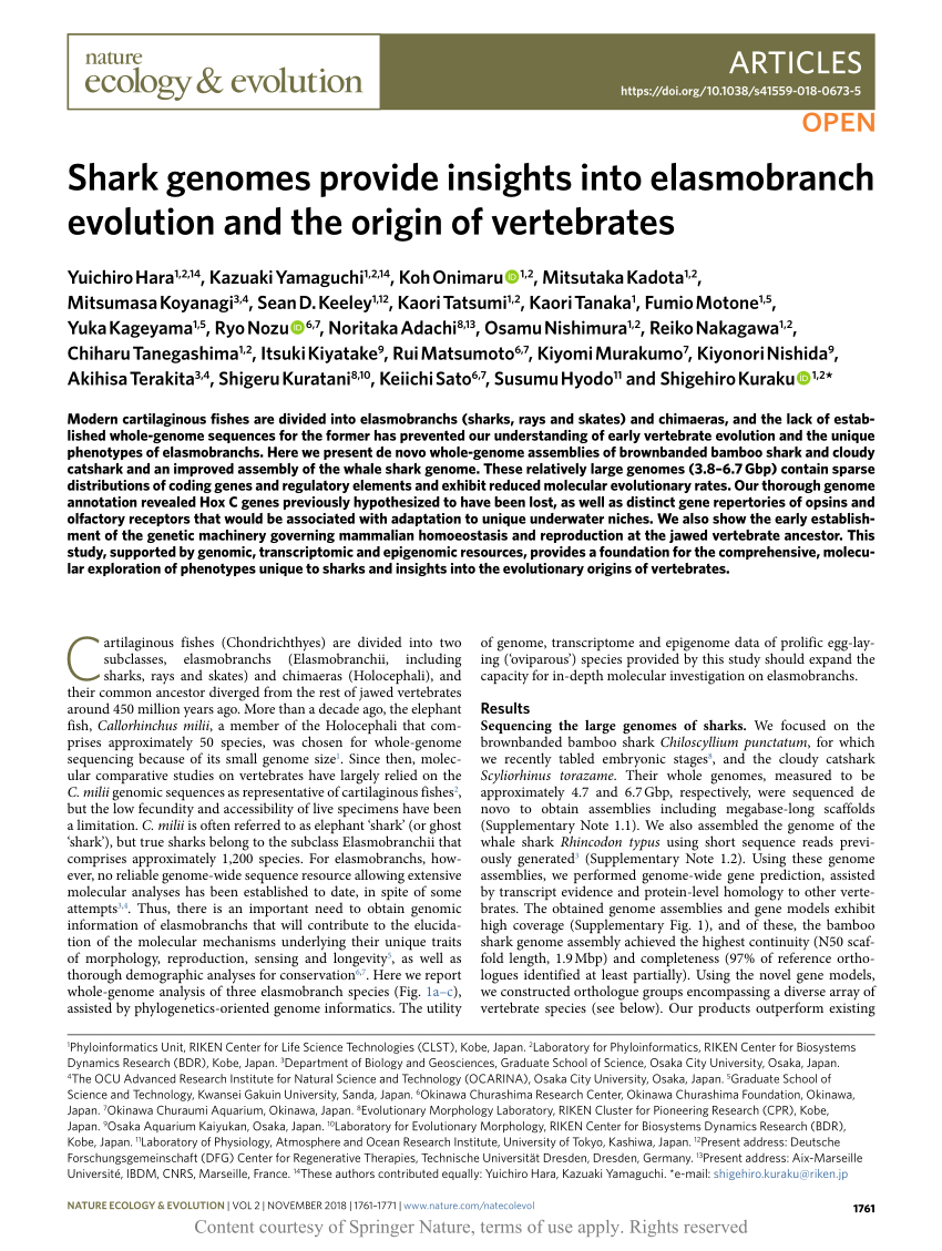 Pdf Shark Genomes Provide Insights Into Elasmobranch Evolution And The Origin Of Vertebrates